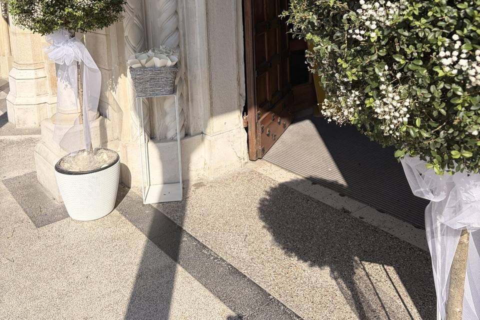 Eventi  le muse