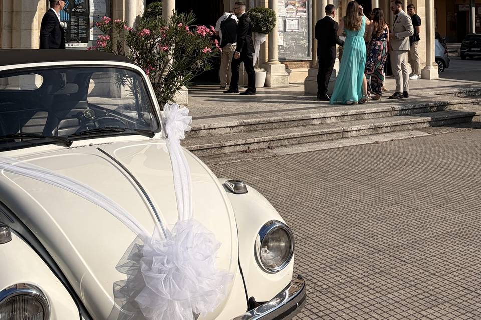 Eventi le Muse