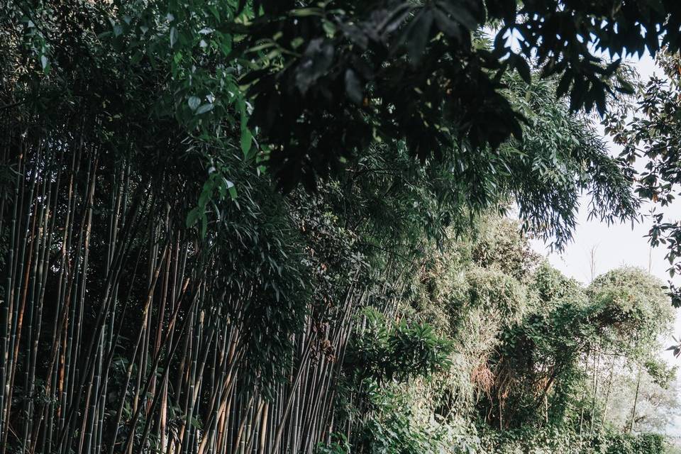 Il Laghetto