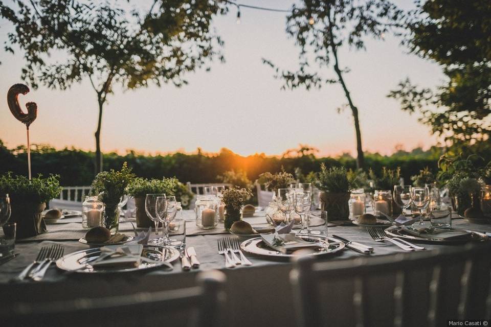 Tramonto sulle vigne