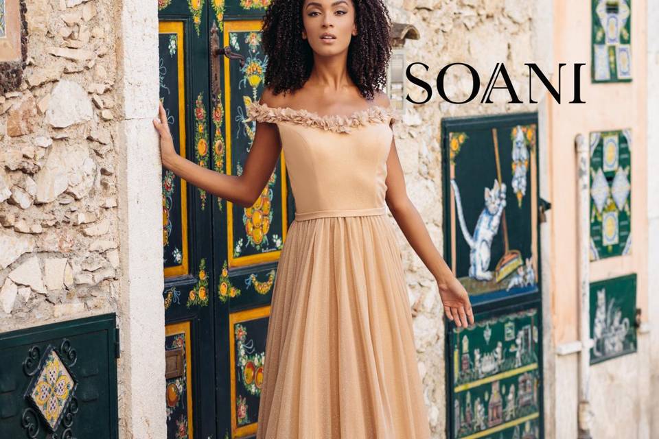 Soani