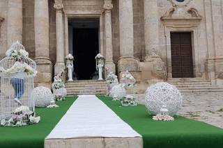 Piante e Fiori Domenico Amato 1