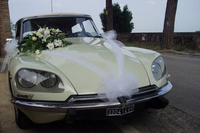 Citroen Ds Squalo Exclusive Wedding Consulta la disponibilit