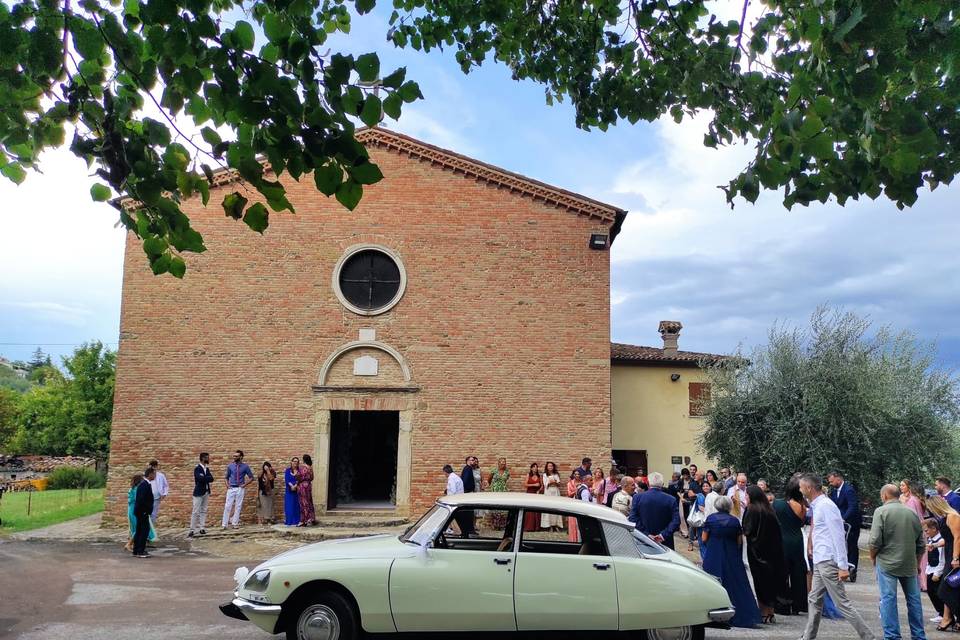 Citroen Ds Squalo - Exclusive Wedding