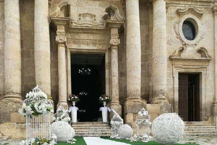 Allestimenti - Piante e Fiori Domenico Amato