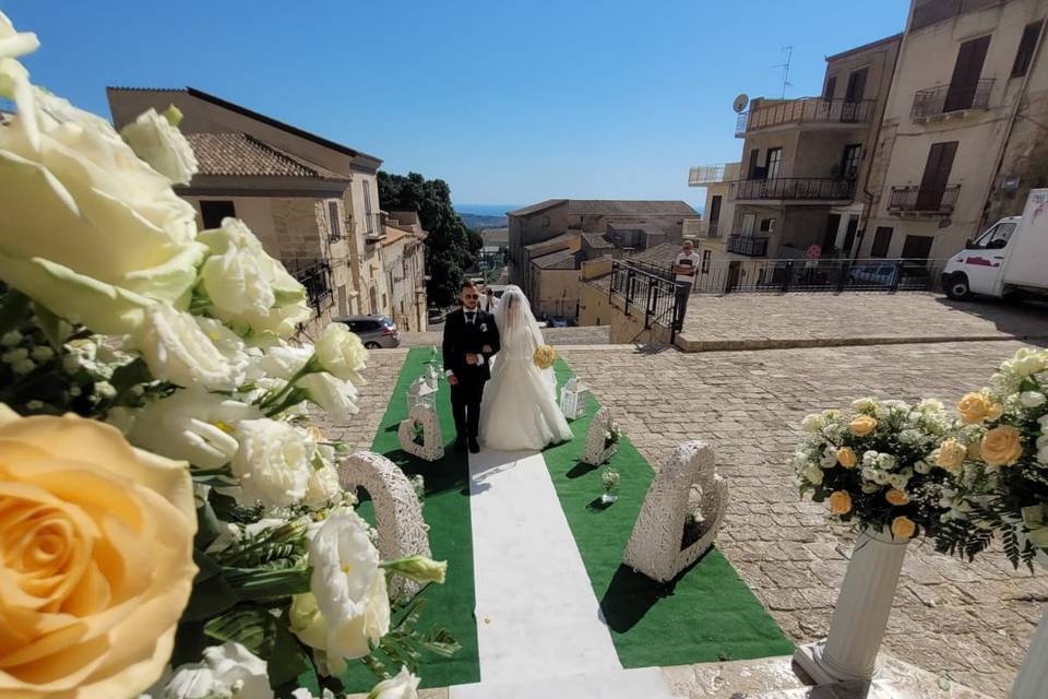 Piante e Fiori Domenico Amato