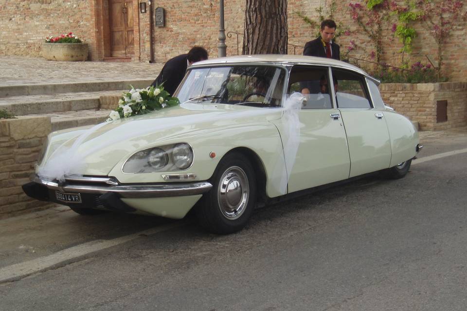 Citroen Ds Squalo - Exclusive Wedding