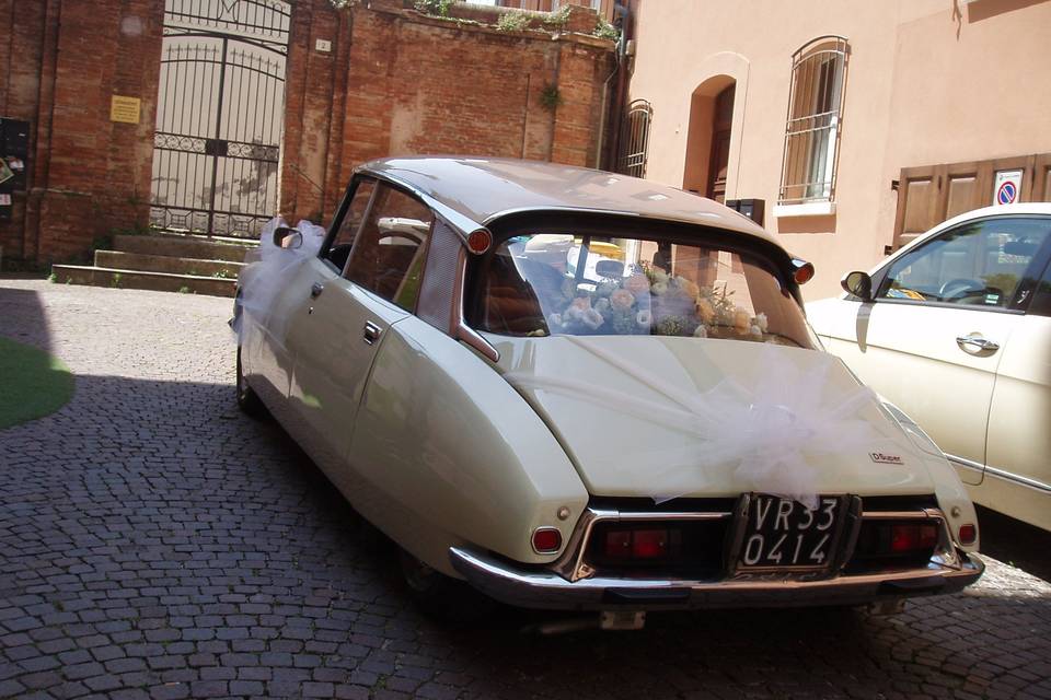 Citroen Ds Squalo - Exclusive Wedding