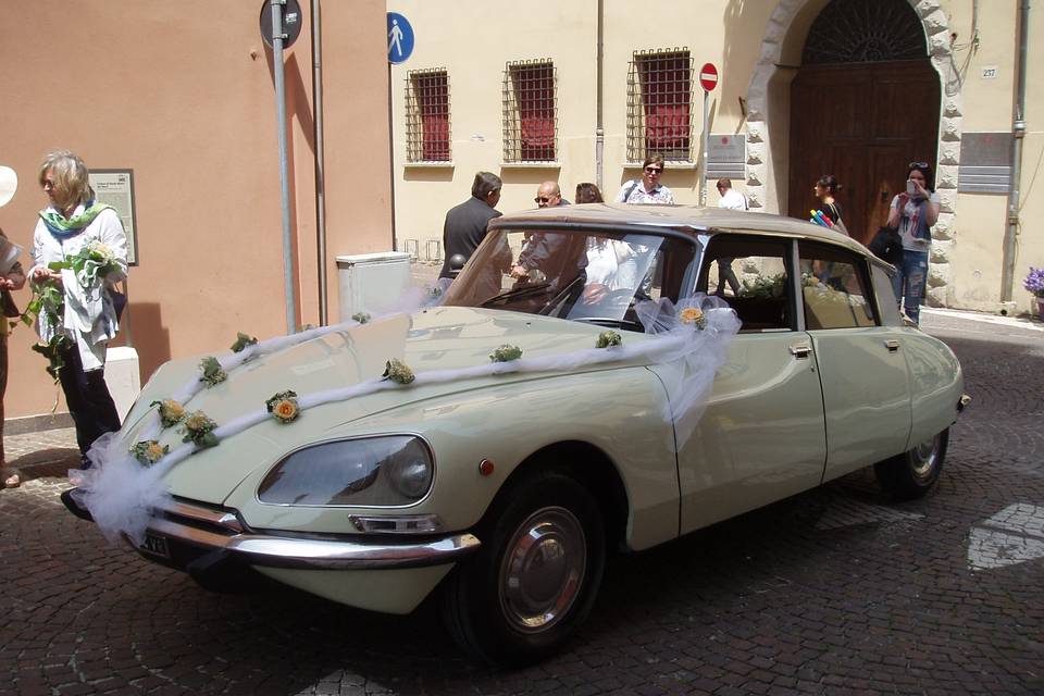 Citroen Ds Squalo - Exclusive Wedding