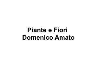 Piante e Fiori Domenico Amato