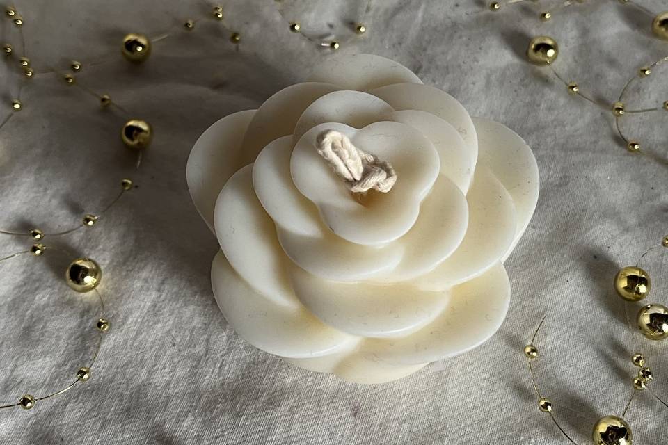 Candela Rosy