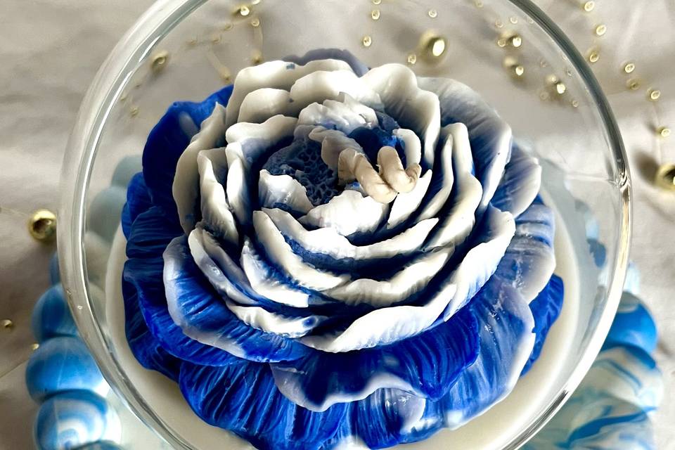 Peonia in bowl