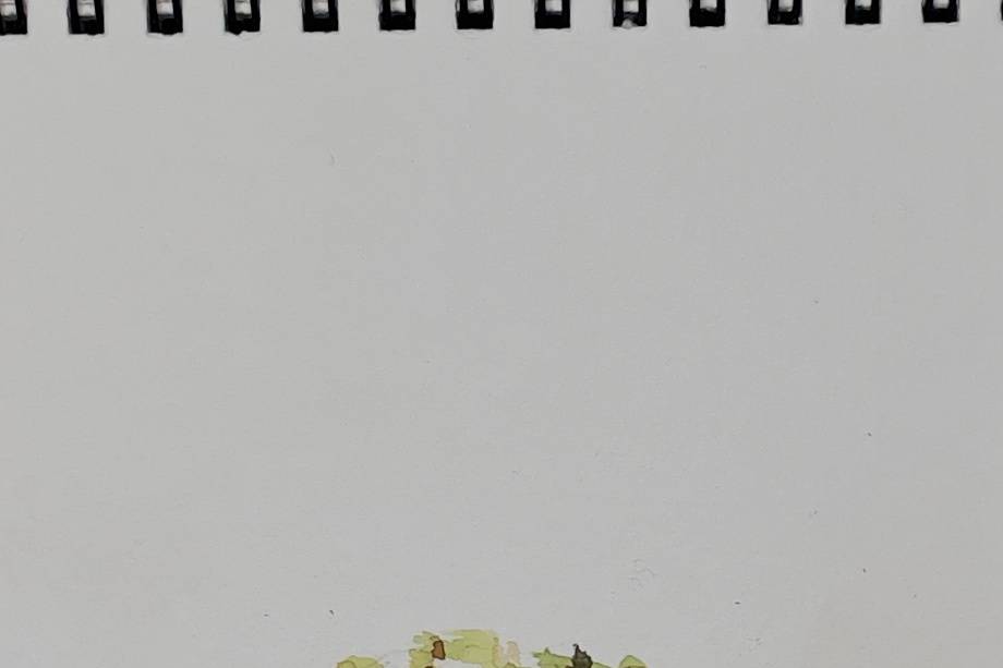 Food Illustration