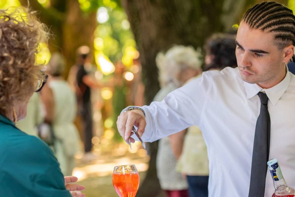 Servizio giardino bevande festa