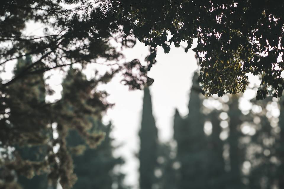 FrancoDeRosaWeddingPhotographe