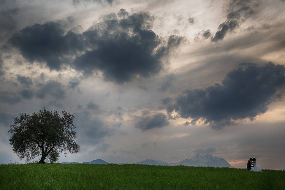 L'albero il Gran Sasso e gli sposi