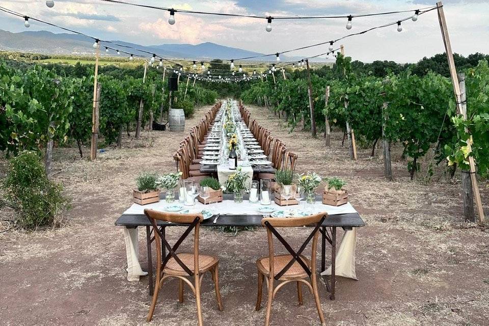 Cena in vigna podere la doccia