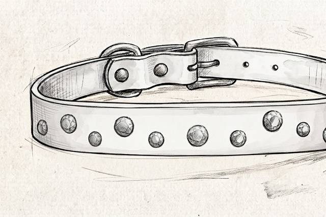 Disegnamolo insieme