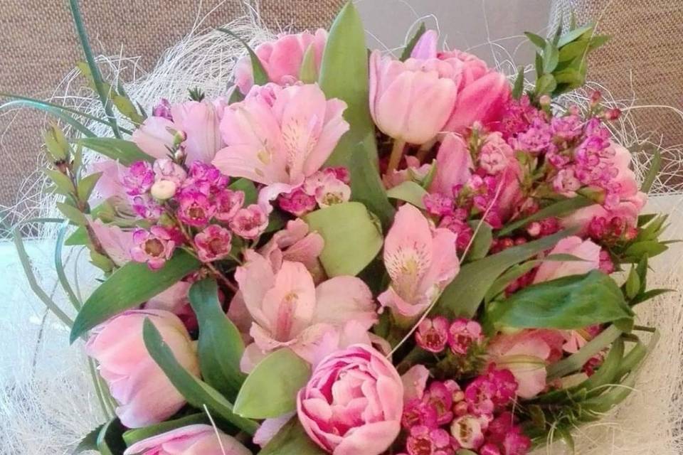 Tulipani rosa
