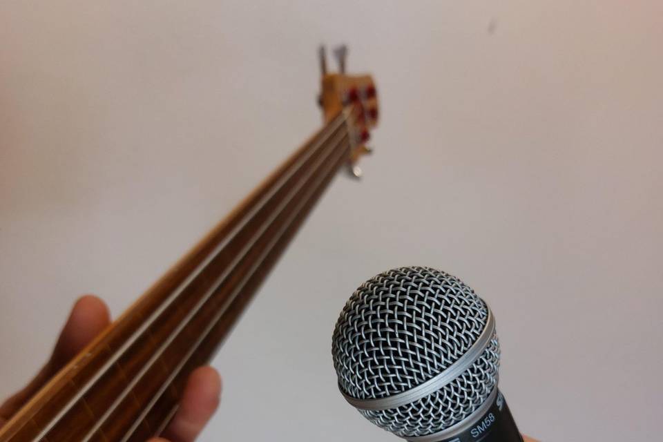 Voce e basso elettrico