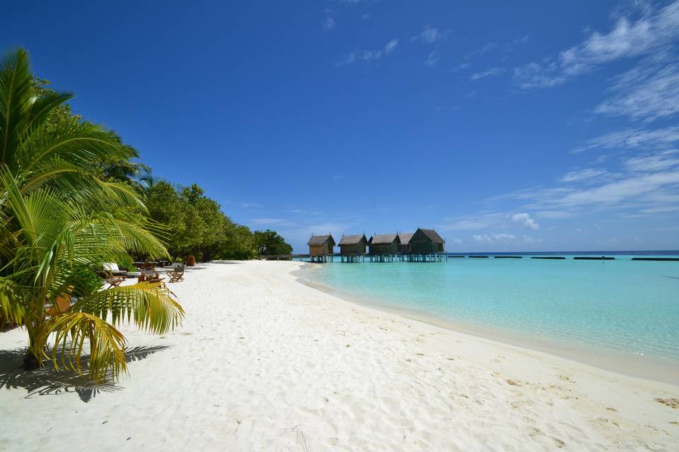 Maldive