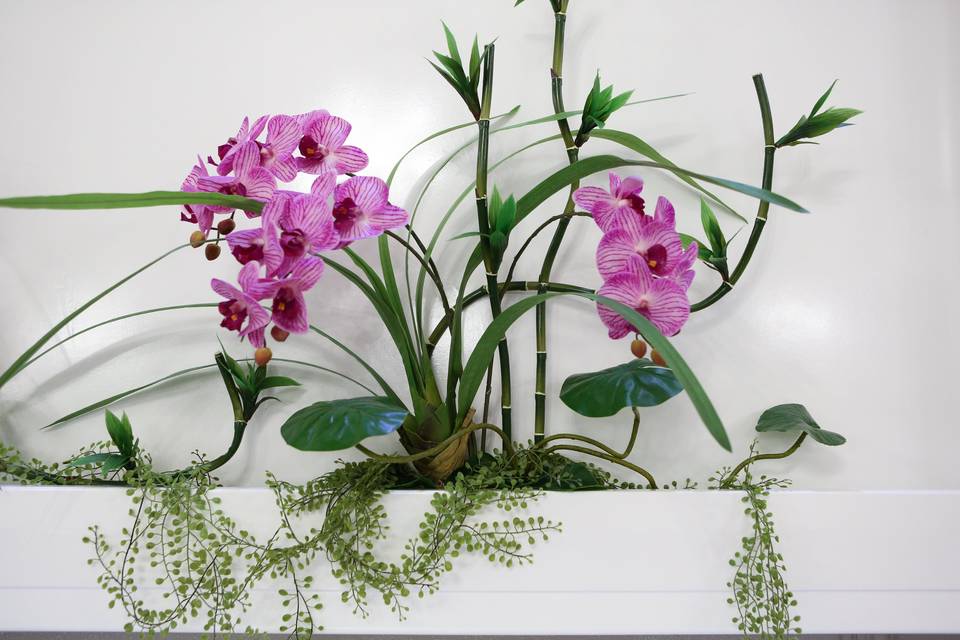 Orchidee