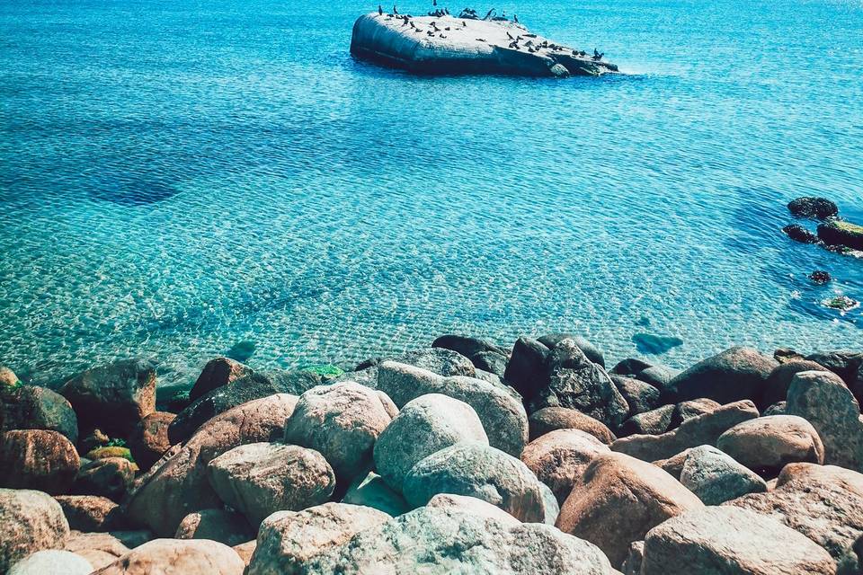 Mare del Nord
