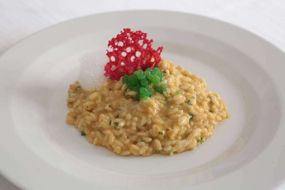 Risotto ai crostacei