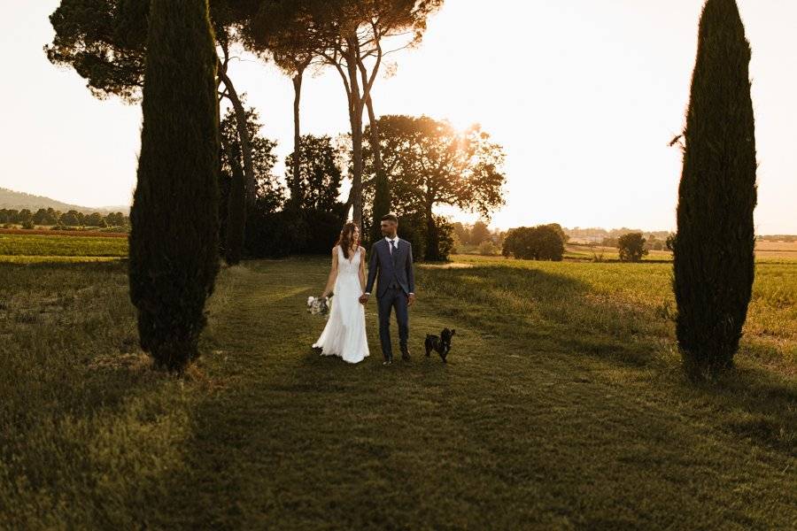 Andrea Angelica