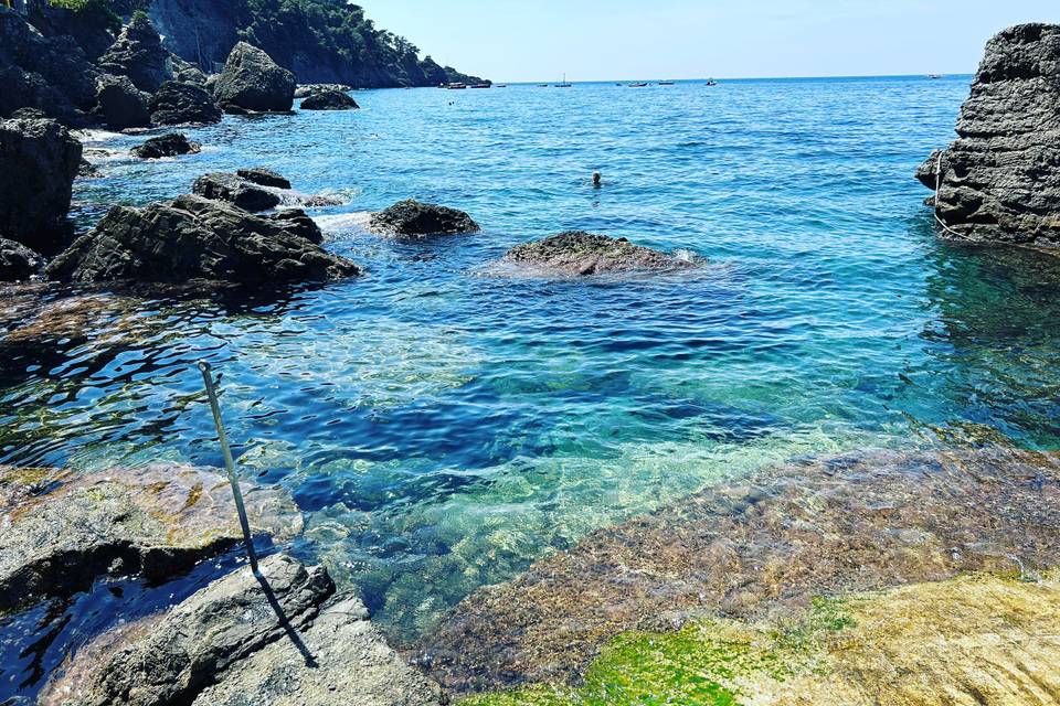 Punta Chiappa