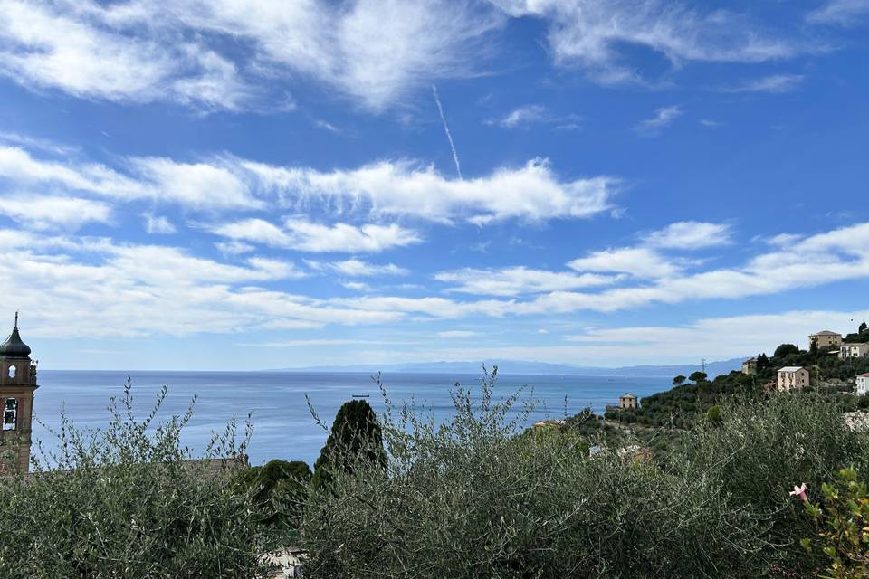 Seaview
