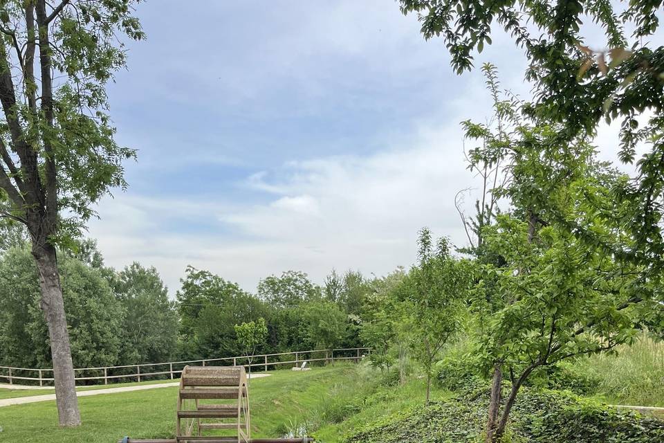 Location