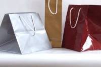 Wedding Bags Cartess