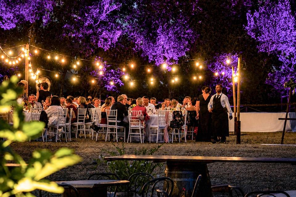 Cena di gala esterno