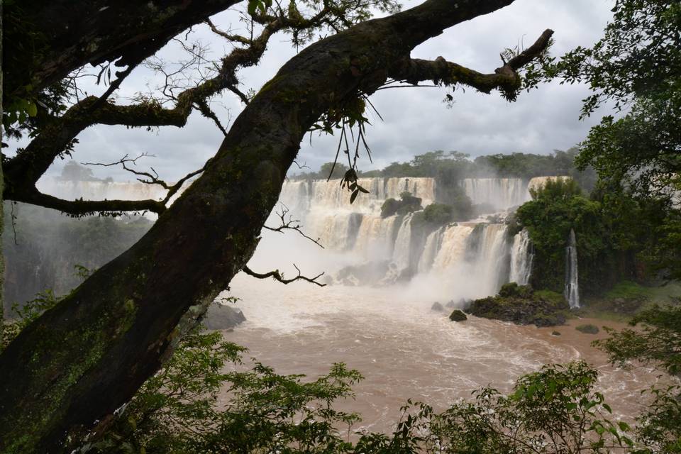 Cascate di Iguazu