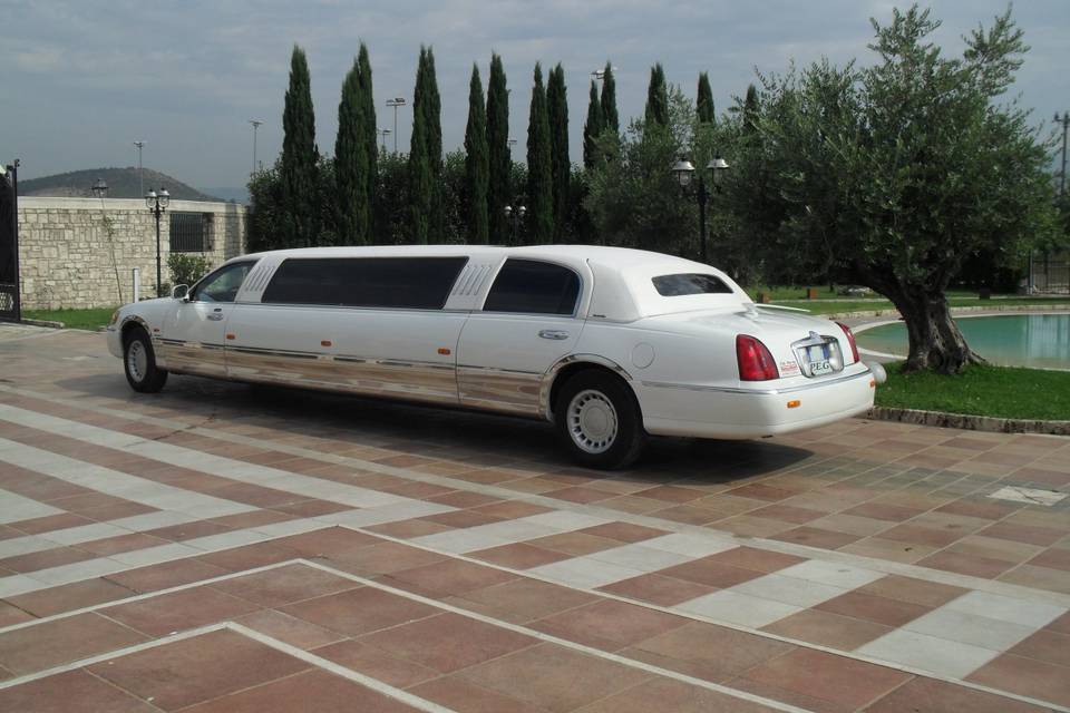 Limousine bianca 8.60m