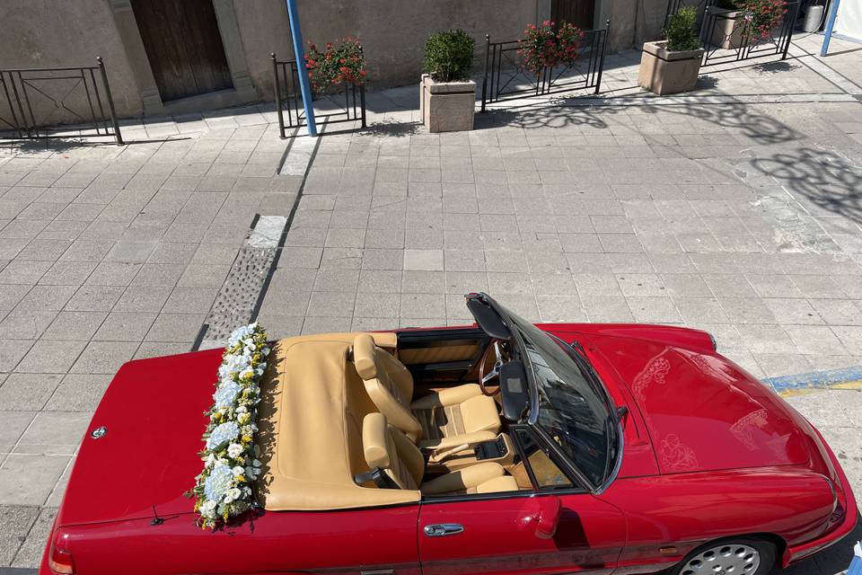 Eleganza