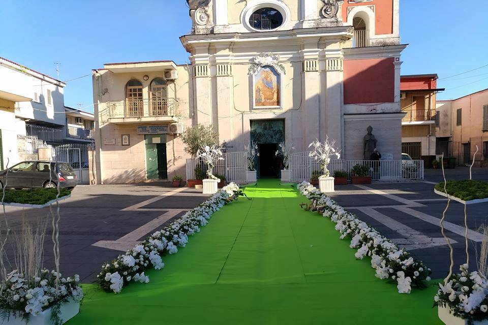 Fiori Boccia Poggiomarino