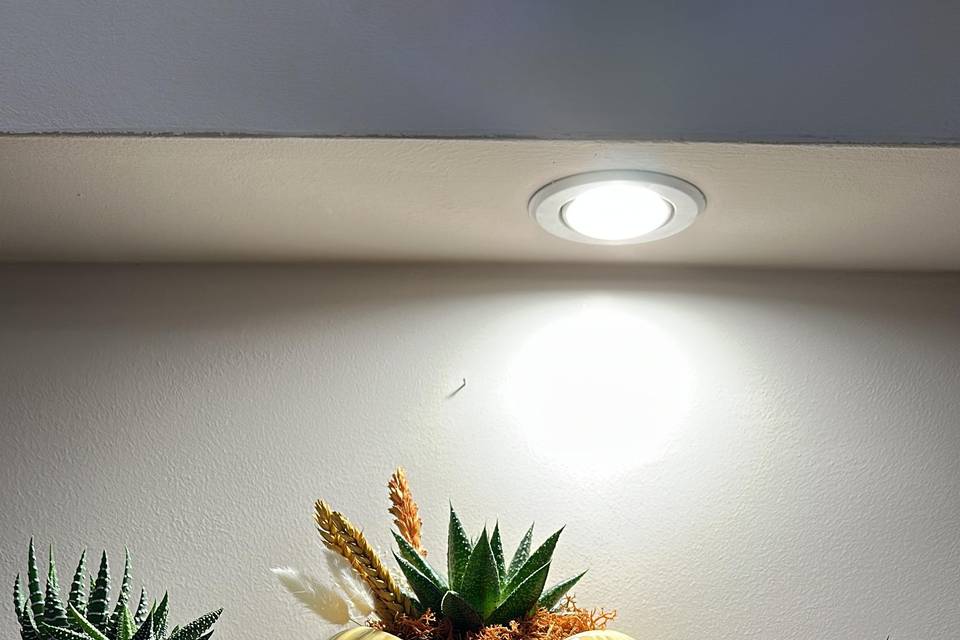 Linea green