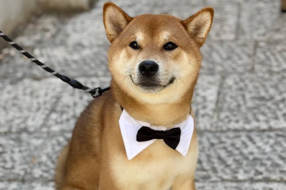Obi🫶🏻