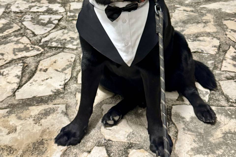 Thor 😍