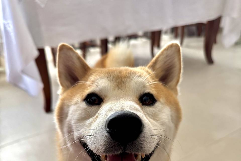 Artù 🥰