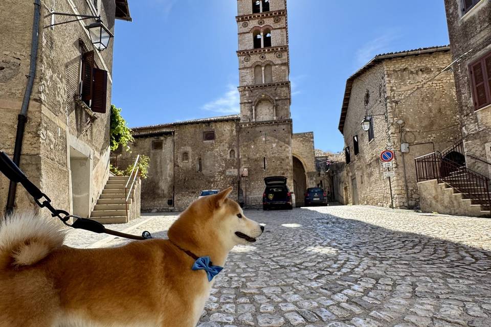 Artù 🩷