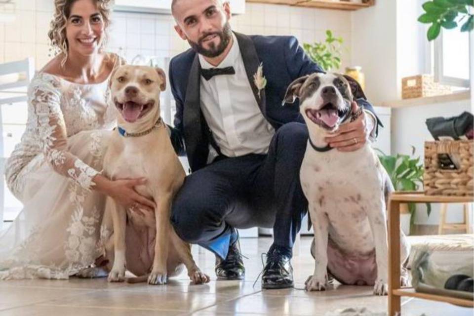 Chiara Wedding Dog Sitter