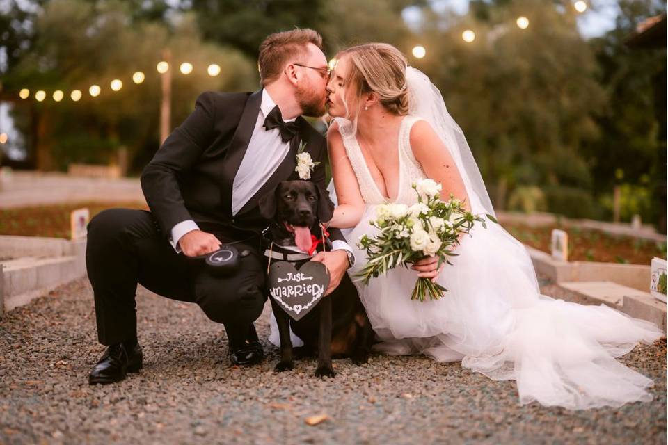 Chiara Wedding Dog Sitter