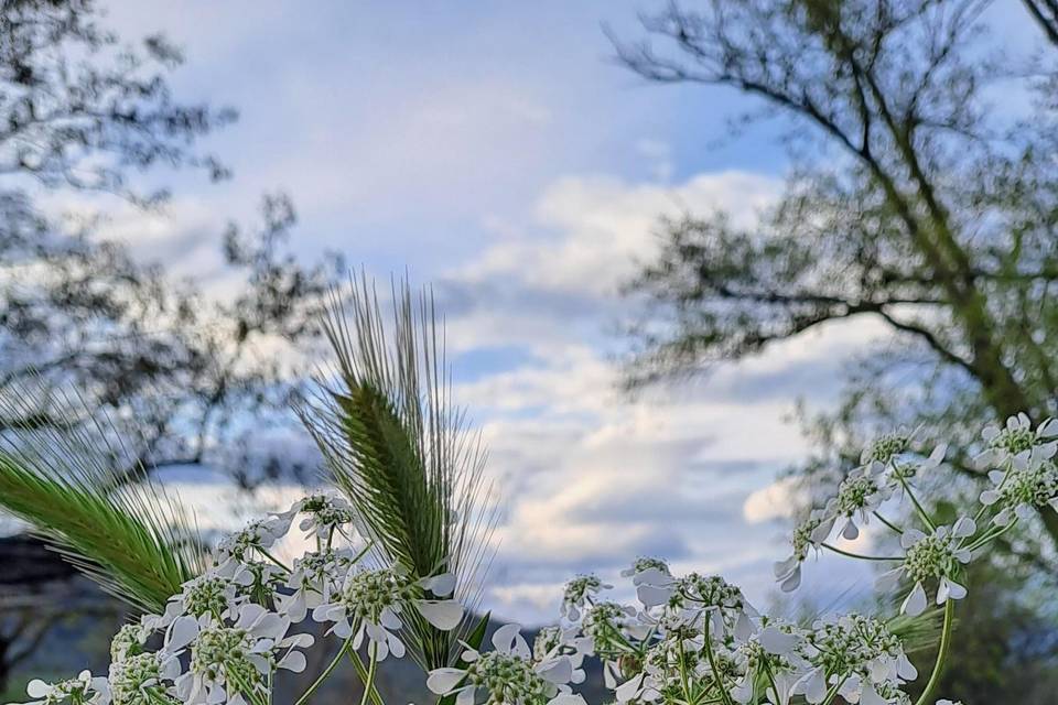 Bouquet