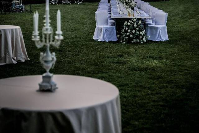 Nel Giardino degli Ulivi