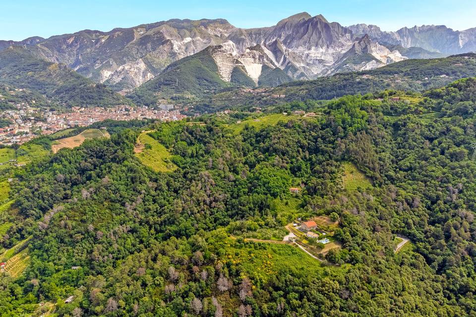 Panorama