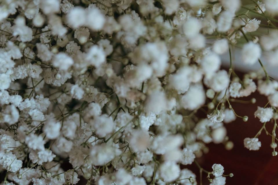 ©Martina Parolo