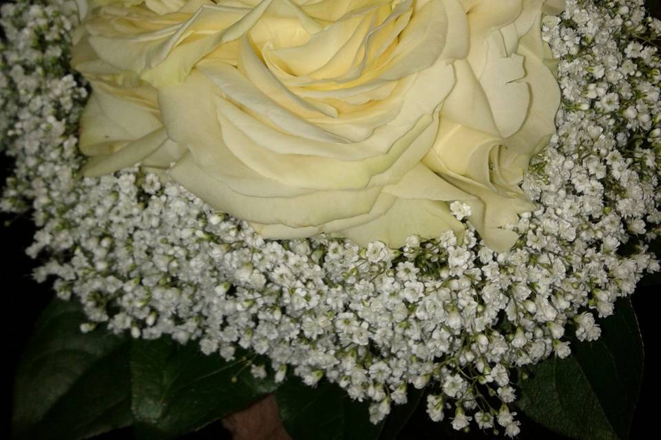 Bouquet glamelia